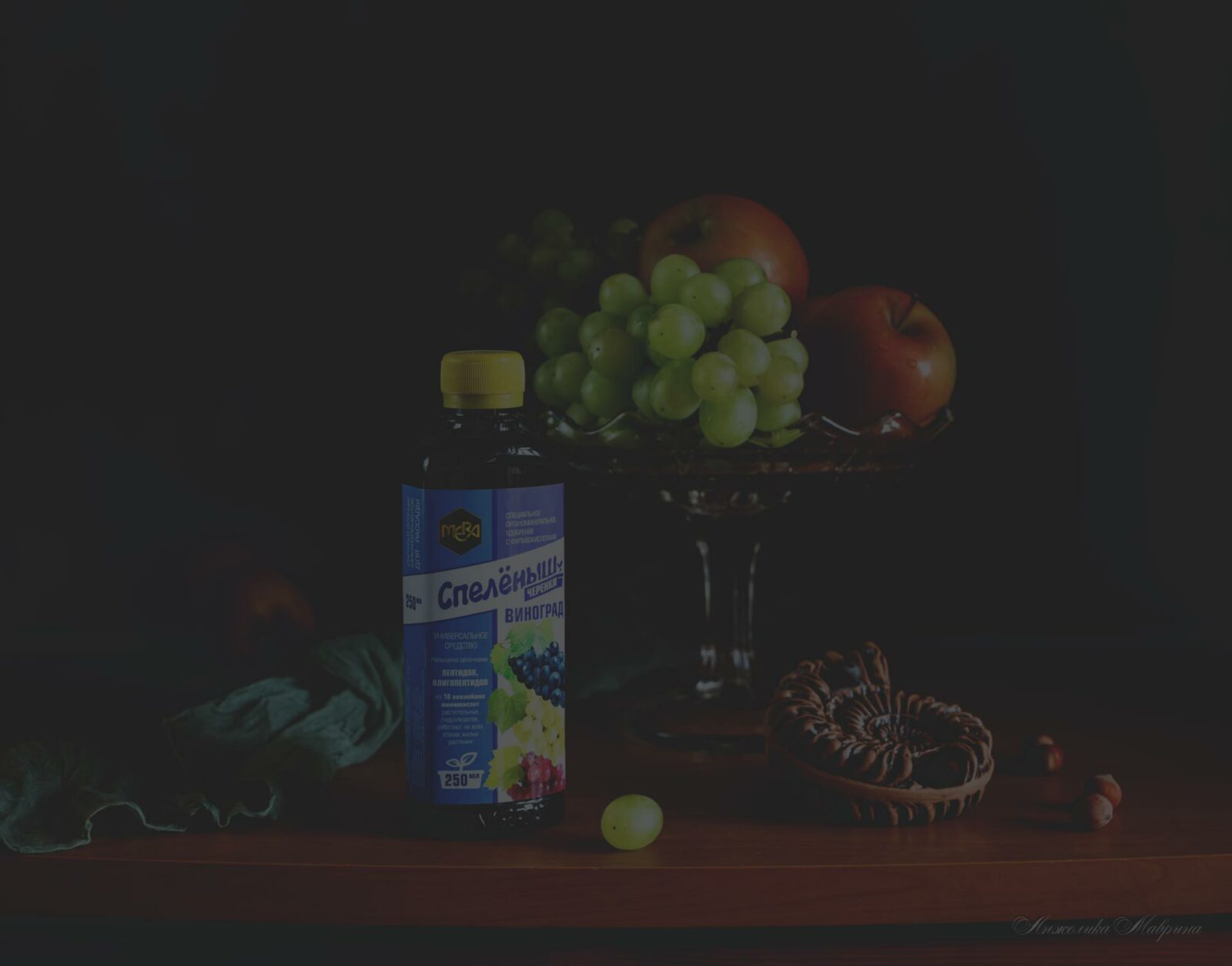 Подбор цветов для сада в январе-феврале Подбор цветов для сада в январе-феврале