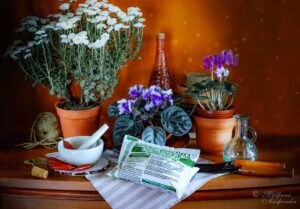 Известковая доломитовая мука