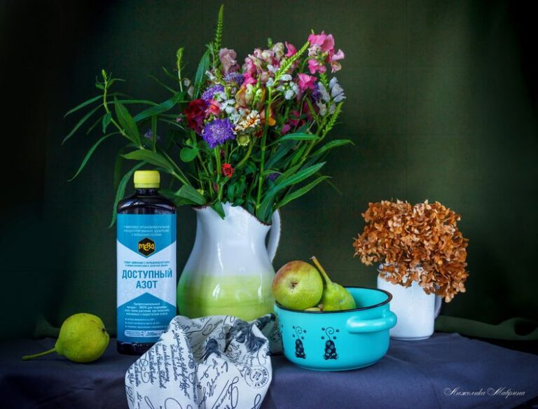 Как помочь растениям восстановиться после стресса: эффективные решения Как помочь растениям восстановиться после стресса: эффективные решения