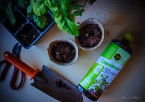 Секрет увеличения урожая на 40%: правильное применение удобрения СПЕЛЁНЫШ