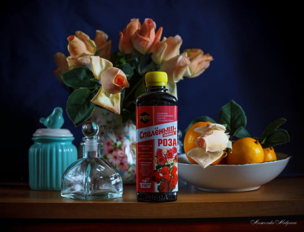 Уход за молодыми саженцами роз: от укоренения до первого цветения