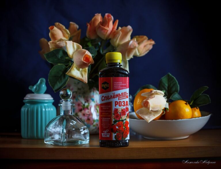 Уход за молодыми саженцами роз: от укоренения до первого цветения Уход за молодыми саженцами роз: от укоренения до первого цветения