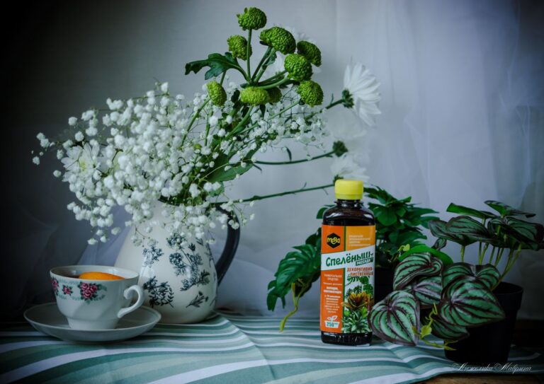 Универсальная система питания для всех видов растений: простые решения для максимального результата Универсальная система питания для всех видов растений: простые решения для максимального результата