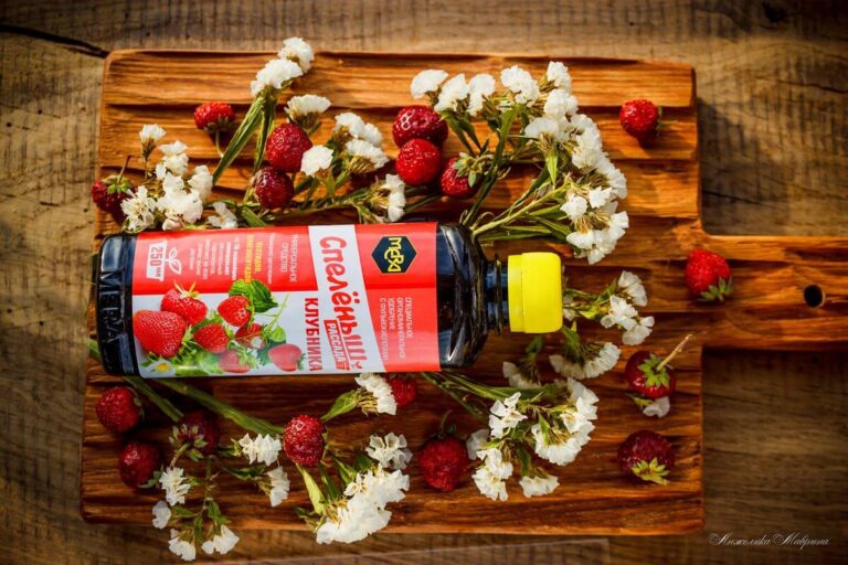 Клубника в квартире зимой: секреты выращивания и ухода за саженцами Клубника в квартире зимой: секреты выращивания и ухода за саженцами