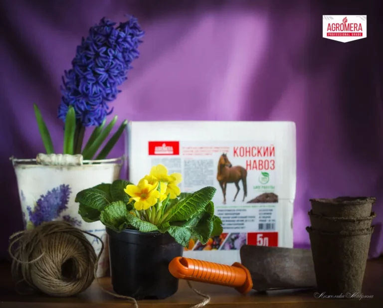 Как выбрать правильные удобрения для овощей Как выбрать правильные удобрения для овощей