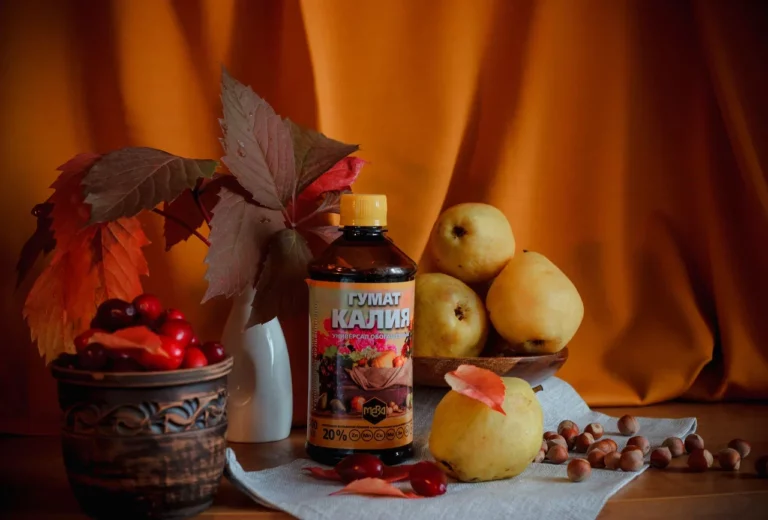 Зимний уход за садовыми растениям Зимний уход за садовыми растениям